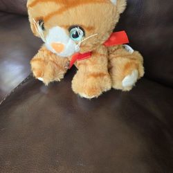 Camouflage Teddy Bear ,Orange Stripe Cat. Each  $5.00 