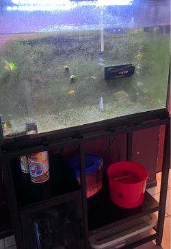 30 gallon tank