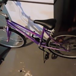 Mountain bike 15 speed