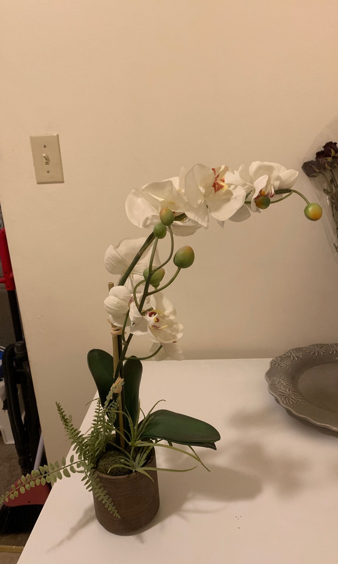 Home Decor Orchid Plant