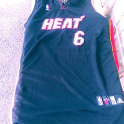LeBron James Heat Jersey