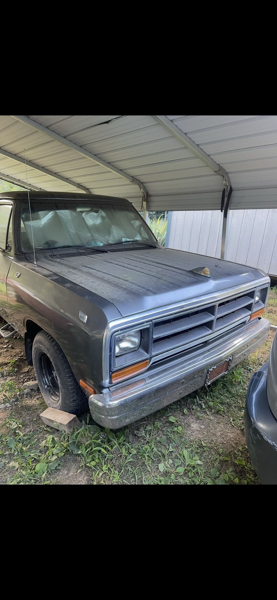 1987 Dodge D100