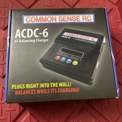 Common Sense Rc Charger 