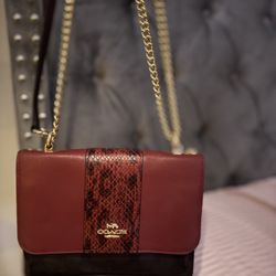 Bolsa En Buenas Condiciones $85