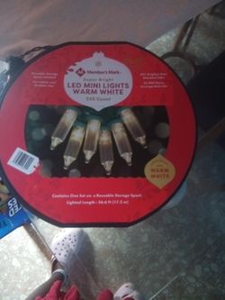 Member’s Mark Warm White LED Mini Lights – 250 Count