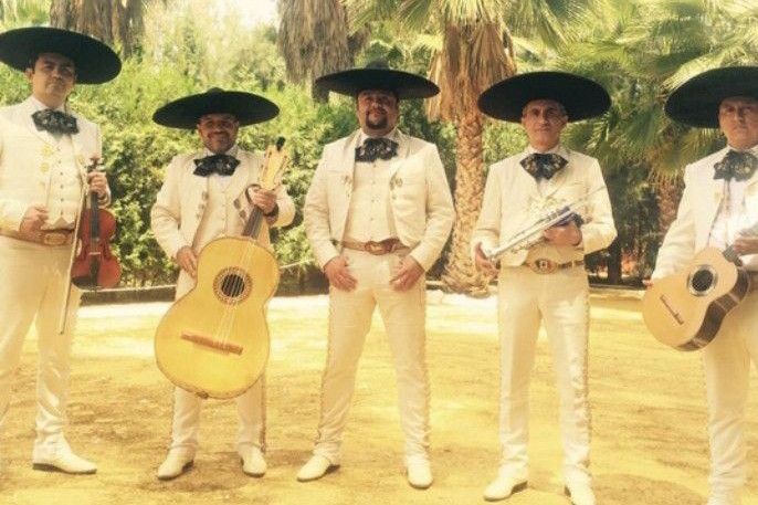 Violin Trompeta Mariachi