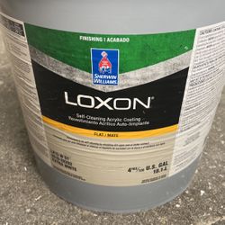 Loxon Self Cleaning Acrylic Coating / Color : Chantilly Lace