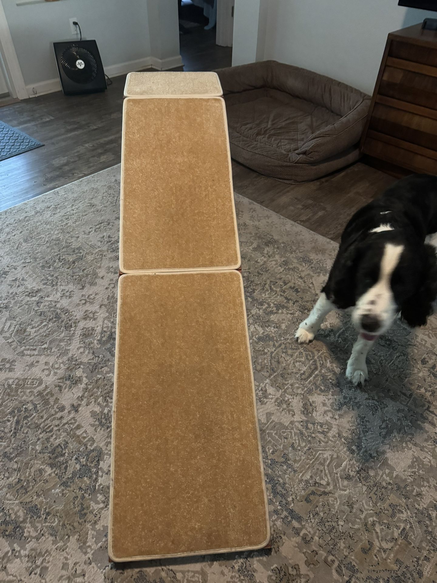 Barely Used Dog Ramp