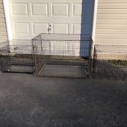 Kennels