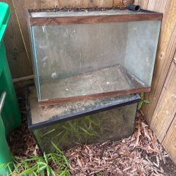 Fish Tank 