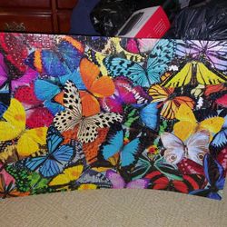 "Beautiful Butterflies", Seesaw