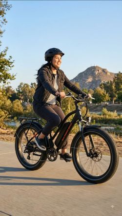 Rad Power Bikes Electric Bike