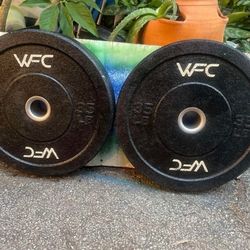 PAIR  OF  35 lb.  HI-TEMP OLYMPIC  BUMPER  PLATES