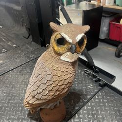 Decoy Owl