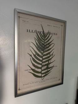Framed Vintage Botanical Fern Print