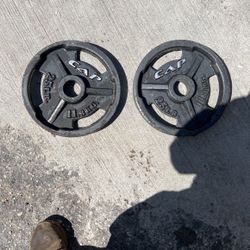 Pesas De 25 Libras Cada Una
