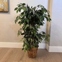 43” Tall Ficus Tree- Maple Tree- Artificial Plant- Artificial Tree w/ Wicker Planter Pot