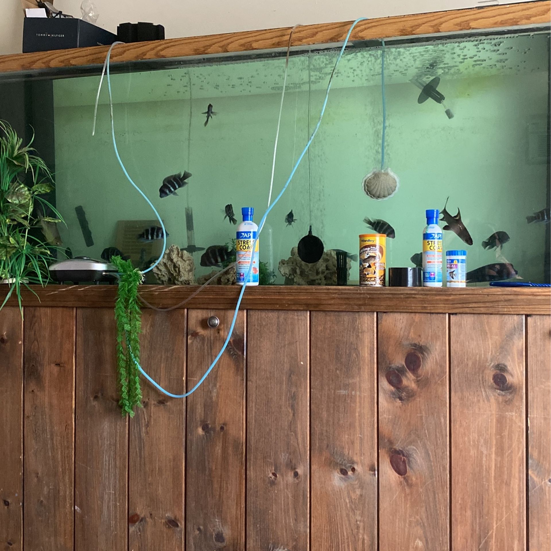 265 Gallon Tank