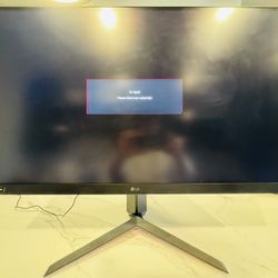 LG 32 Inch Gaming monitor