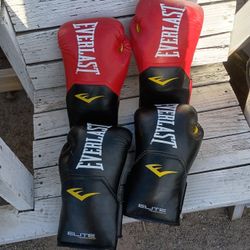 Everlast Goves