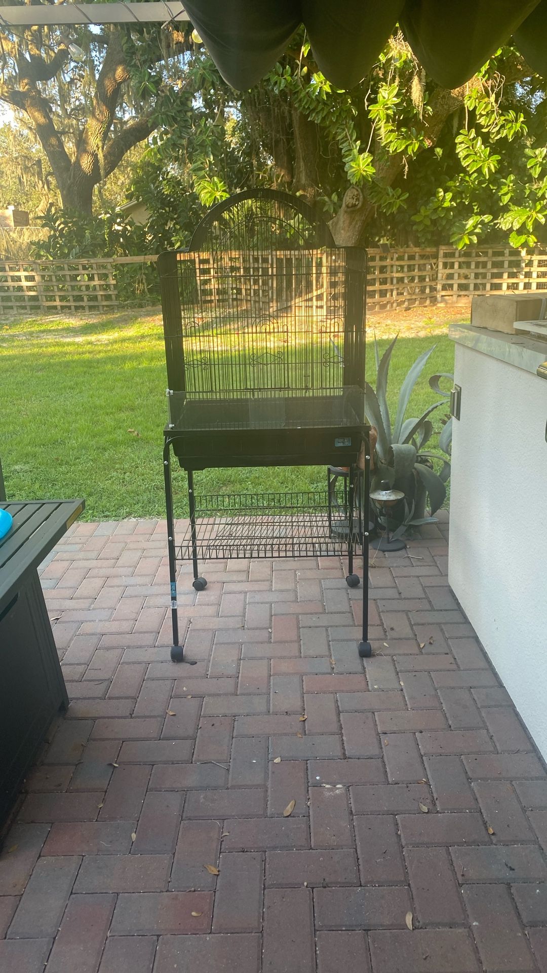Birdcage-Like new Condition 