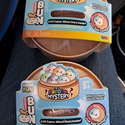 Mystery Dumpling Squishy