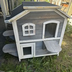 Cat Or Dog Little House