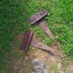 Old Hinges 