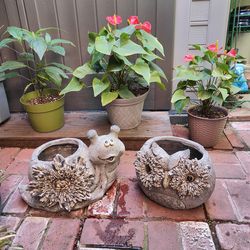 Patio Planters