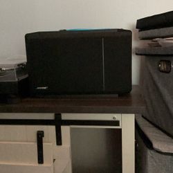 Bose 301s