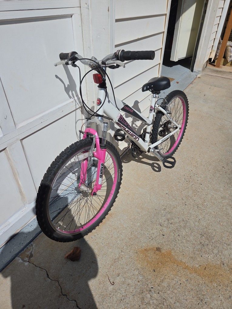 Bicycle 24"