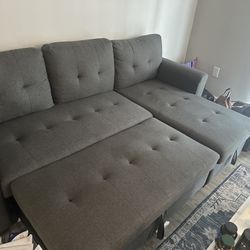 Sofa Cum Bed 