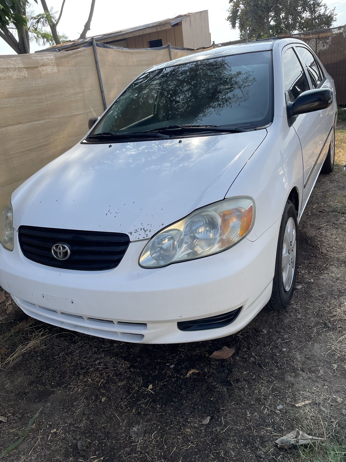 2004 Toyota Corolla