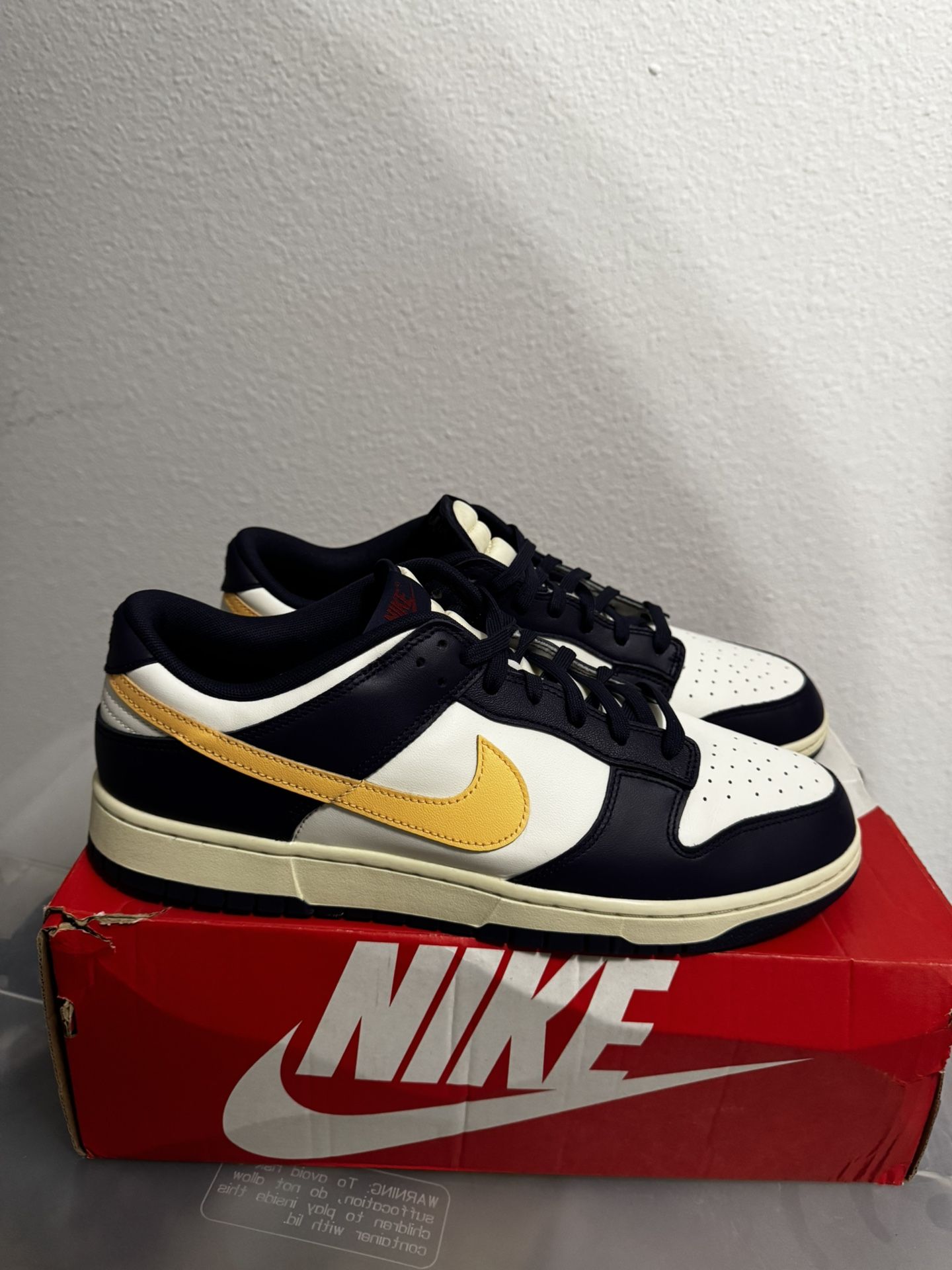 Nike Dunk Low “From Nike To You”