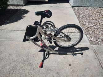 Trail a Bike W Backrest And Seatbelt for Sale in Phoenix AZ OfferUp