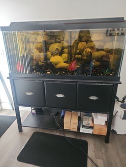 Fish Tank