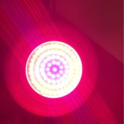 Grow Light 