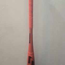 $500 Obo Easton Ghost Advanced Bat 30/19
