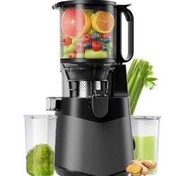 Juicer EanOruus Cold Press Masticating Juicer For Whole Fruits & Vegetables 
