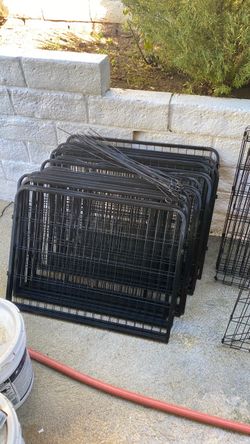 Dog Fence