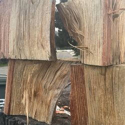 Pine tree wood  🪵 fir bomfire 🔥