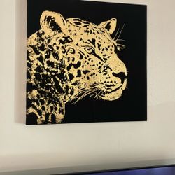Wall Picture Gallery 
