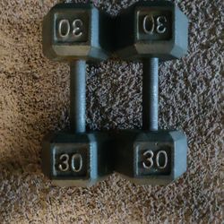 TWO (30 LB)  WEIGHTS/ $80.00 For The Set/ OFFERS WELCOME 
