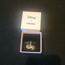 Pandora Remy Paris Charm