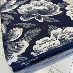 Queen Sizes Mattress And Box Spring 