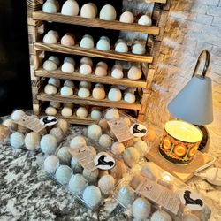 Farm Fresh Eggs