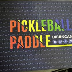 Pickleball Set