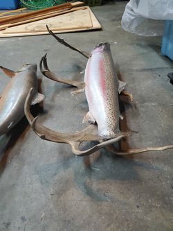 Fishing Decor for Sale in Port Orchard, WA - OfferUp