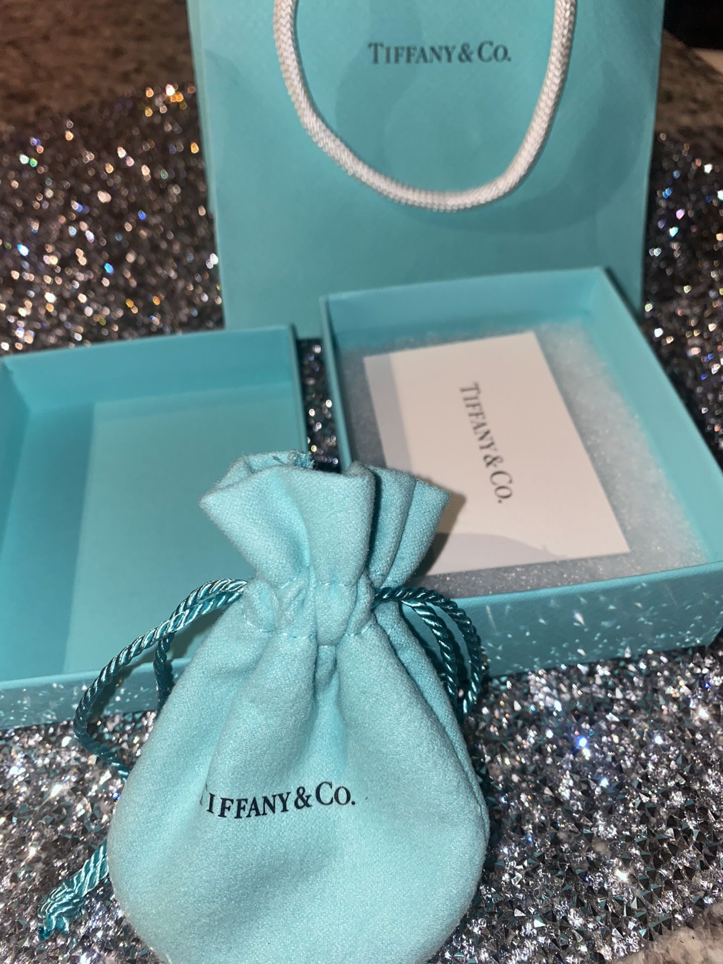 NEW Tiffany & Co. Sterling Pendant Necklace
