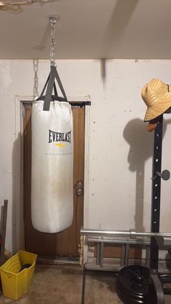 Everlast Punching Bag